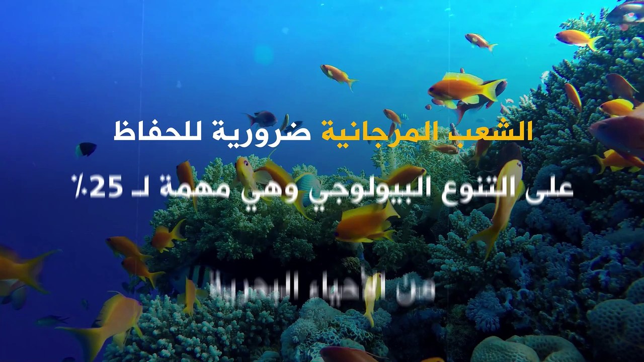 روبوت لمساعدة الشعب المرجانية على النمو!