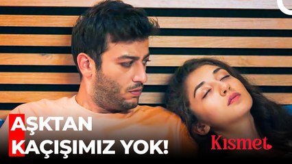 Taner ile Roza'nın Aşk Hayatı - Kısmet