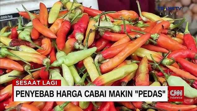 CNN INDONESIA NEWS UPDATE 1124 LIVE