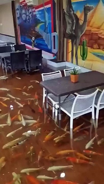 Así es el café más surrealista del mundo: el suelo se llena de agua y los peces nadan entre los pies