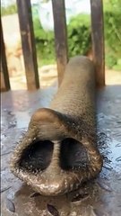 Un éléphant qui aime beaucoup les bananes