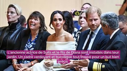 Meghan Markle : jupe crayon et top moulant, elle est renversante en total look camel pour son retour surprise en vidéo