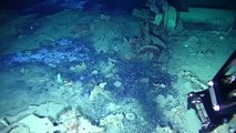 Footage of the Galeón San José shipwreck which is to be lifted from the sea after more than 300 years