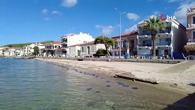 İzmir'in cennet sahilinde korkutan manzara: Yüzlercesi kıyıya vurdu