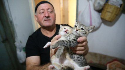 Milyonluk teklifleri kedileri için reddetti