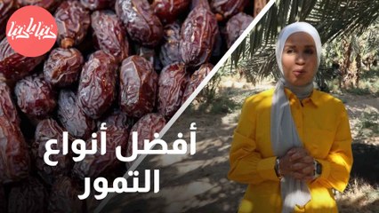 تمور طازجة ولذيذة  كيف يتم إنتاج أفضل أصناف التمور؟