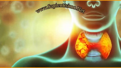 Levothyroxine Side Effects