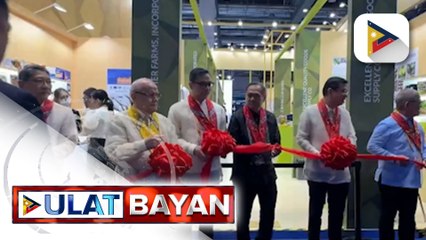 DTI, binigyang-halaga ang paglahok ng Pilipinas sa 2023 China International Import Expo