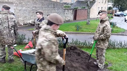 School pupils plant crocus bulbs for campaign