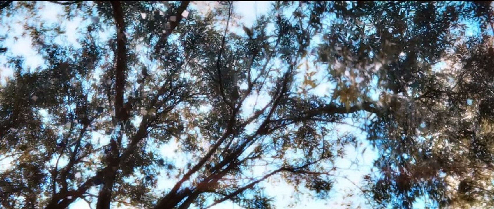 Exit Pangea Trailer DF