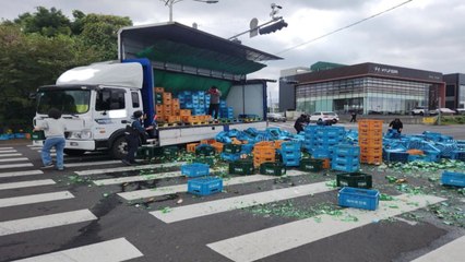 '술병이 와르르'...트럭에서 술 상자 수백 개 도로에 떨어져 / YTN