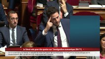 100% Sénat - Le Sénat entame l'examen du projet de loi immigration