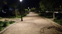 OnePlus Open - Prueba vídeo de noche