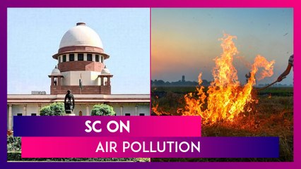 Air Pollution: SC Says Ban On Firecrackers To Continue; Asks Punjab, Haryana, UP, Rajasthan To Stop Crop Burning