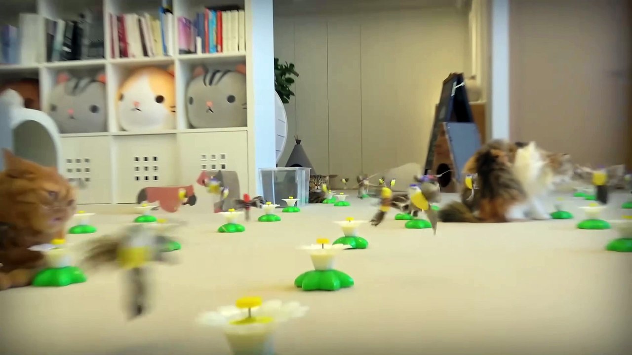 Cats vs 100 Birds | Kittisaurus