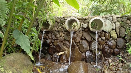 Relaxing Nature Sounds for Stress Relief 🌿