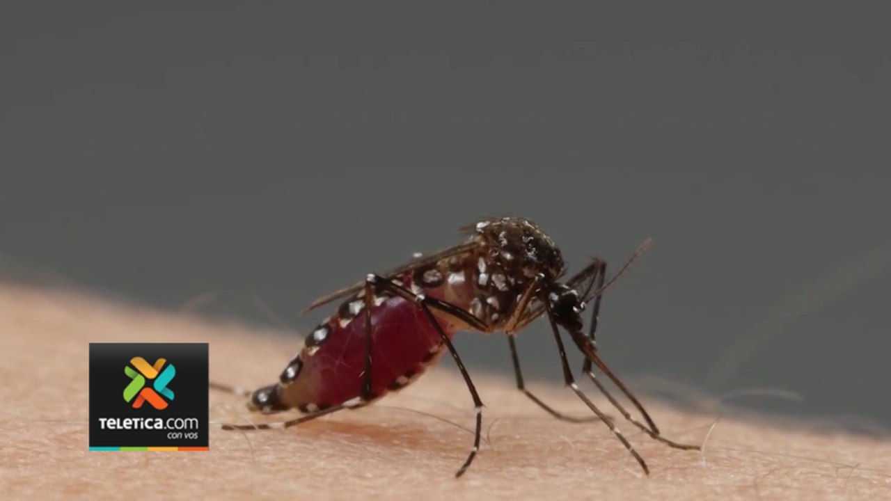 tn7-incremento-en-casos-de-dengue-071123