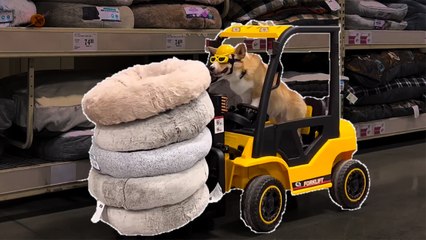 Exceptional Talents & Mind-Blowing Tricks Compilation || Best of Internet