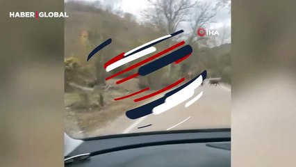 Yer Karabük: Sürü halde böyle görüntülendiler!