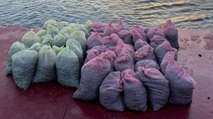 İstanbul'da 1 ton kaçak midye ele geçirildi