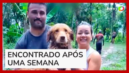 Vídeo mostra resgate de cachorro ilhado em mangue no litoral de SP