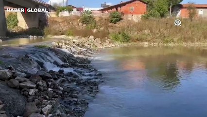 Çanakkale'de korkutan görüntü! İnceleme başlatıldı