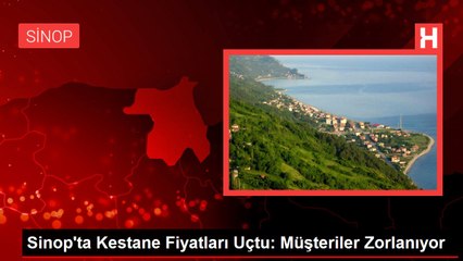 Sinop'ta Kestane Fiyatları Uçtu: Müşteriler Zorlanıyor