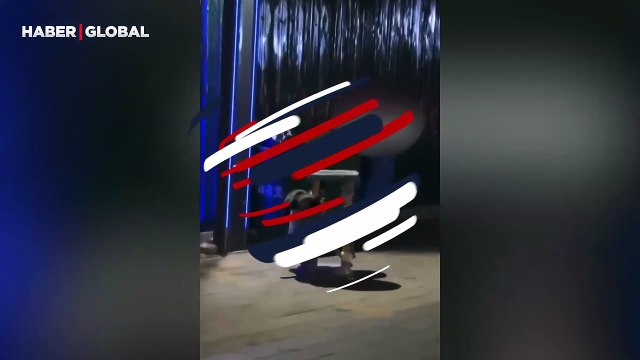 Çöpte bulduğu oyuncakla oynayıp mutlu olan, sokak kedisi izleyenleri duygulandırdı