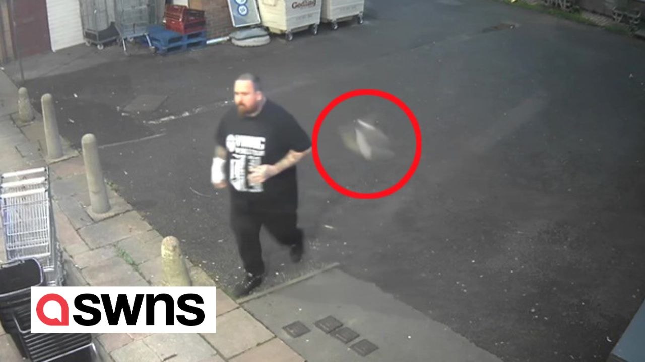 Ahnungsloser käufer wird ins gesicht geschlagen - von einer TAUBE