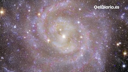 La misión Euclid revela sus primeras imágenes: “Nunca habíamos visto el cosmos con tanto detalle”