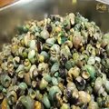 Amazing Korean snail soup made by hand in a mass production factory