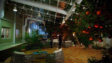 No te vayas sin mí - Capítulo 8: Yiğit enfrenta la culpa tras un accidente que cambia su vida 🚗