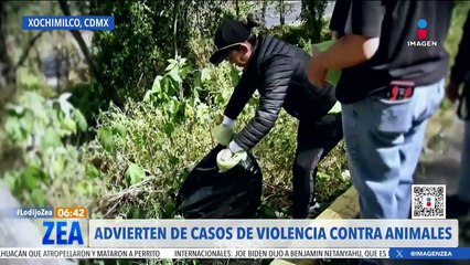 Denuncian posibles casos de santería en el Bosque de Nativitas en Xochimilco
