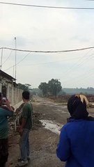 Kabel listrik tegangan tinggi terbakar akibat ranting pohon yang basah