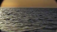 Nowhere full movie in hindi/ urdu