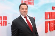 Arnold Schwarzenegger rules out running for office in home country Austria