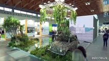 Il mondo della Green economy a Rimini pensa alle sfide del futuro