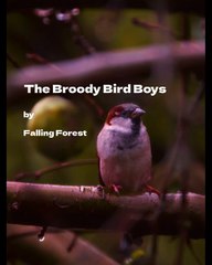 Pensive Pigeon Parables - Falling Forest