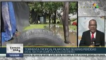 Tormenta tropical Pilar causa severas pérdida en agricultura salvadoreña