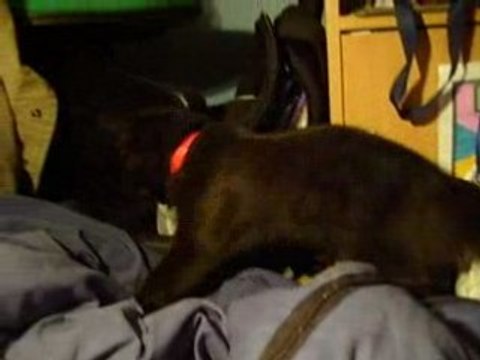 Mon ptit chat fait une jolie gamelle! ^_^