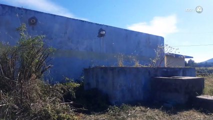 Alcalde en Zacatecas ofrece 100 pesos por “levantar” perros de la calle