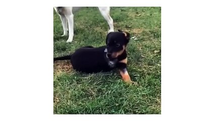 iPhone 14 Pro - Apple - Advert (USA, 2023)