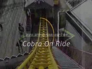 Cobra 2008 On Ride