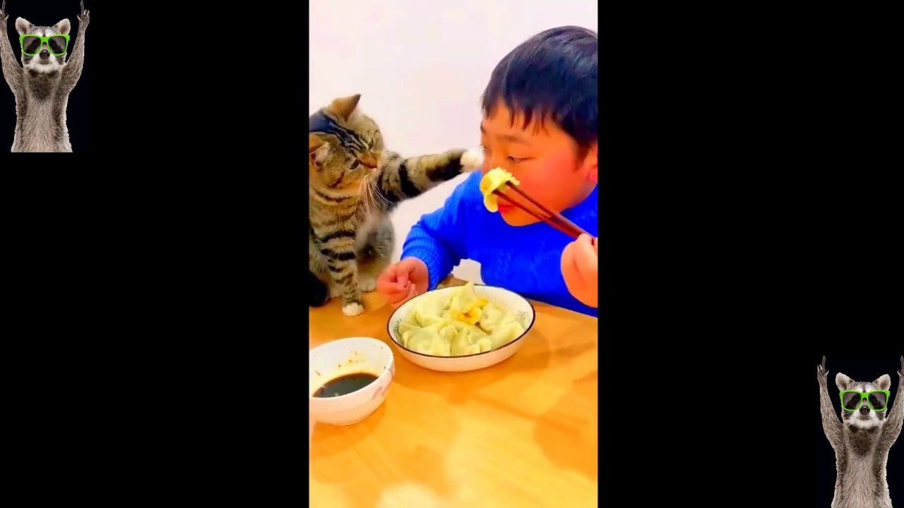 New Funny Animals Video 2023 _ Funniest Cats and Dogs Videos _ New Funny Video Of Cat And Dogs #279