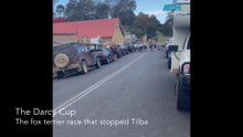 The Darcy Cup Tilba