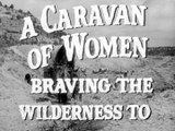 Westward the Women Movie (1951) - Robert Taylor, Denise Darcel, John McIntire