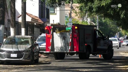 No automedicarse y acudir a revisión: recomendaciones básicas ante olor penetrante de ajo