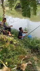 Mancing Nila pakai lumut