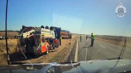 Bull attacked police officer, Morven | November 2023 | Queensland Country Life