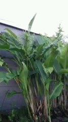 Al criticar a un pastor..mira primero como eres tu..